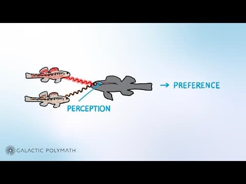 How do we know what a fish likes? (And can we predict it?)
