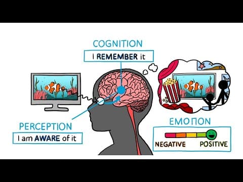 I Like That! How our eyes and brains interact to determine what we like and dislike