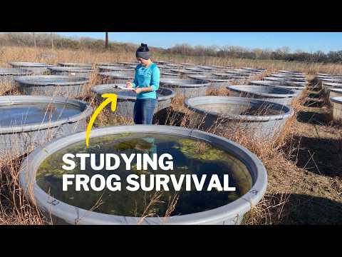 Why Scientists Are Drying Out Ponds Across America