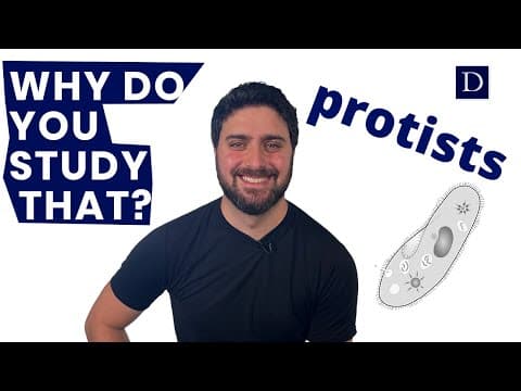 Why Do You Study That?