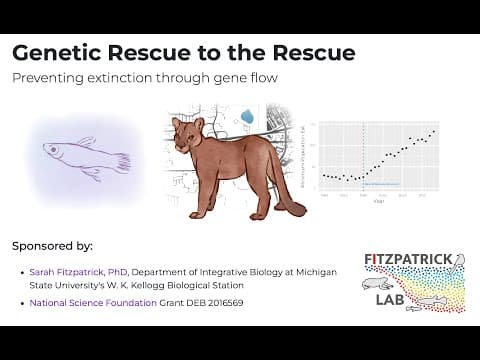 A virtual PD/walk-through of the lesson