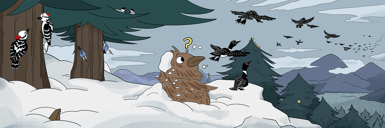 A data-driven investigation of remarkable adaptations